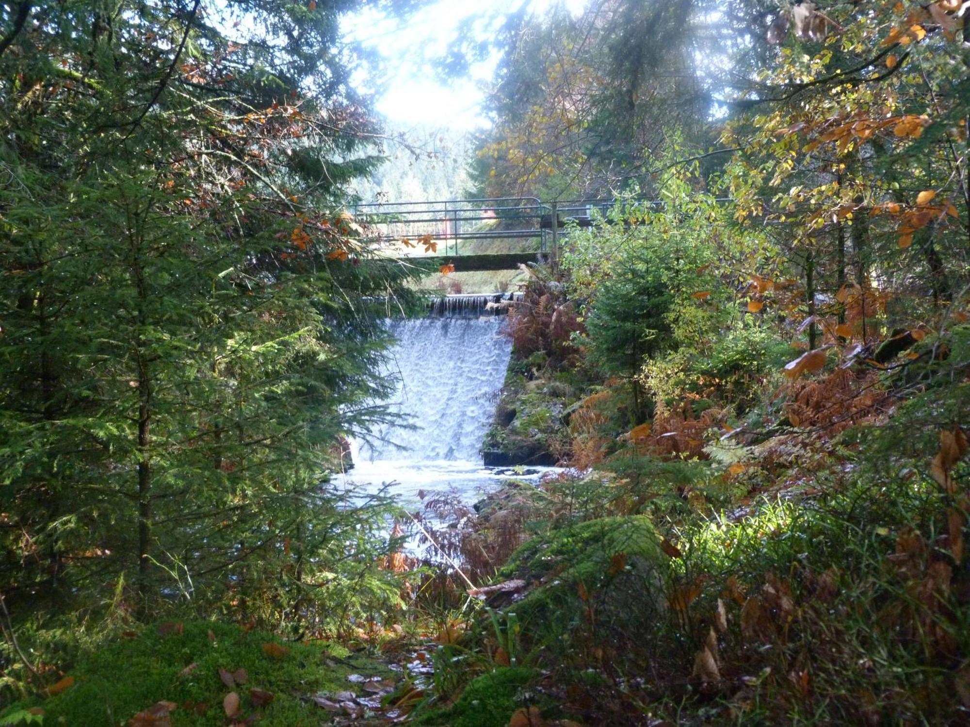 Domaine Des Hauts Viaux La Bresse Exterior foto