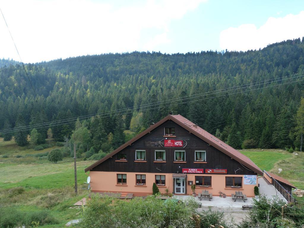 Domaine Des Hauts Viaux La Bresse Exterior foto