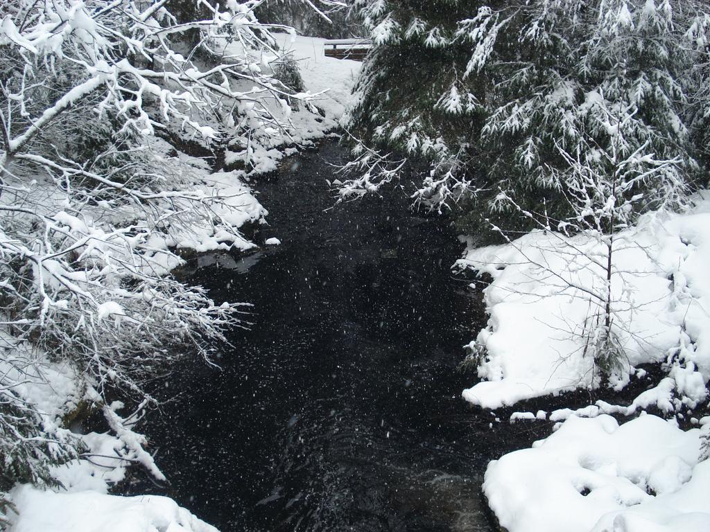 Domaine Des Hauts Viaux La Bresse Exterior foto