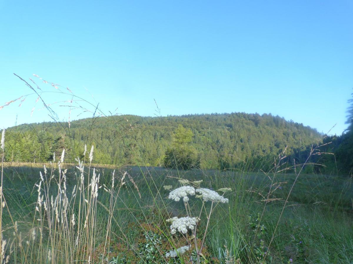 Domaine Des Hauts Viaux La Bresse Exterior foto